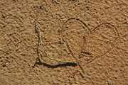 28th Jan 2023 - Someone left a footprint of passion