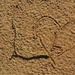 Someone left a footprint of passion by antonios