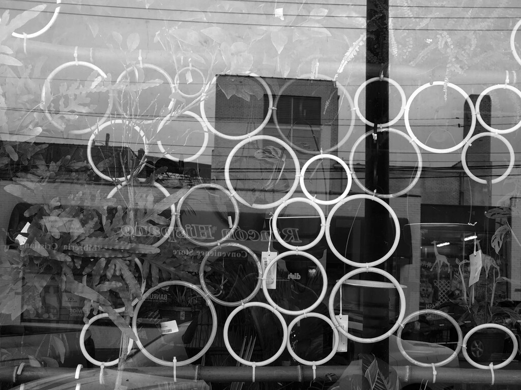 Circles as seen in a window by randystreat