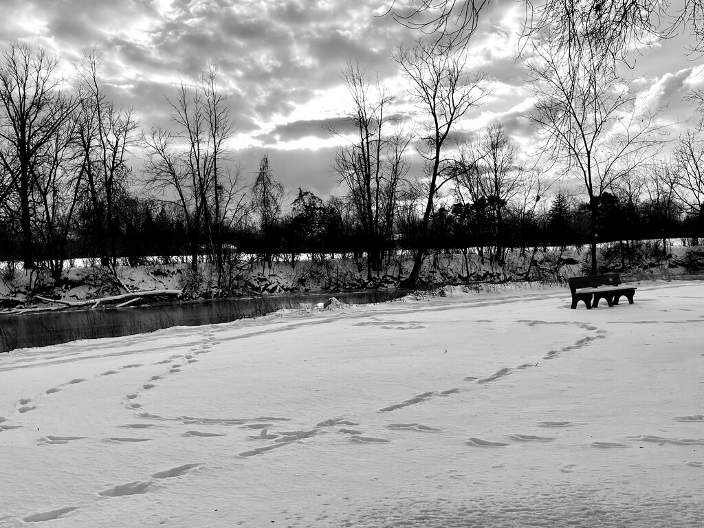 circle in the snow (day 5, b&w) by amyk