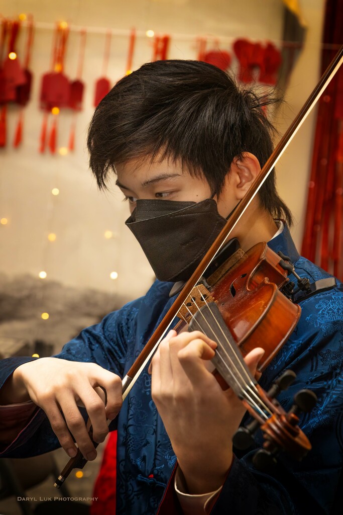 D36 The Violinist by darylluk