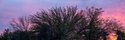 4th Feb 2023 - Sunset in Tucson