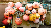 6th Feb 2023 - Buoys Day Out