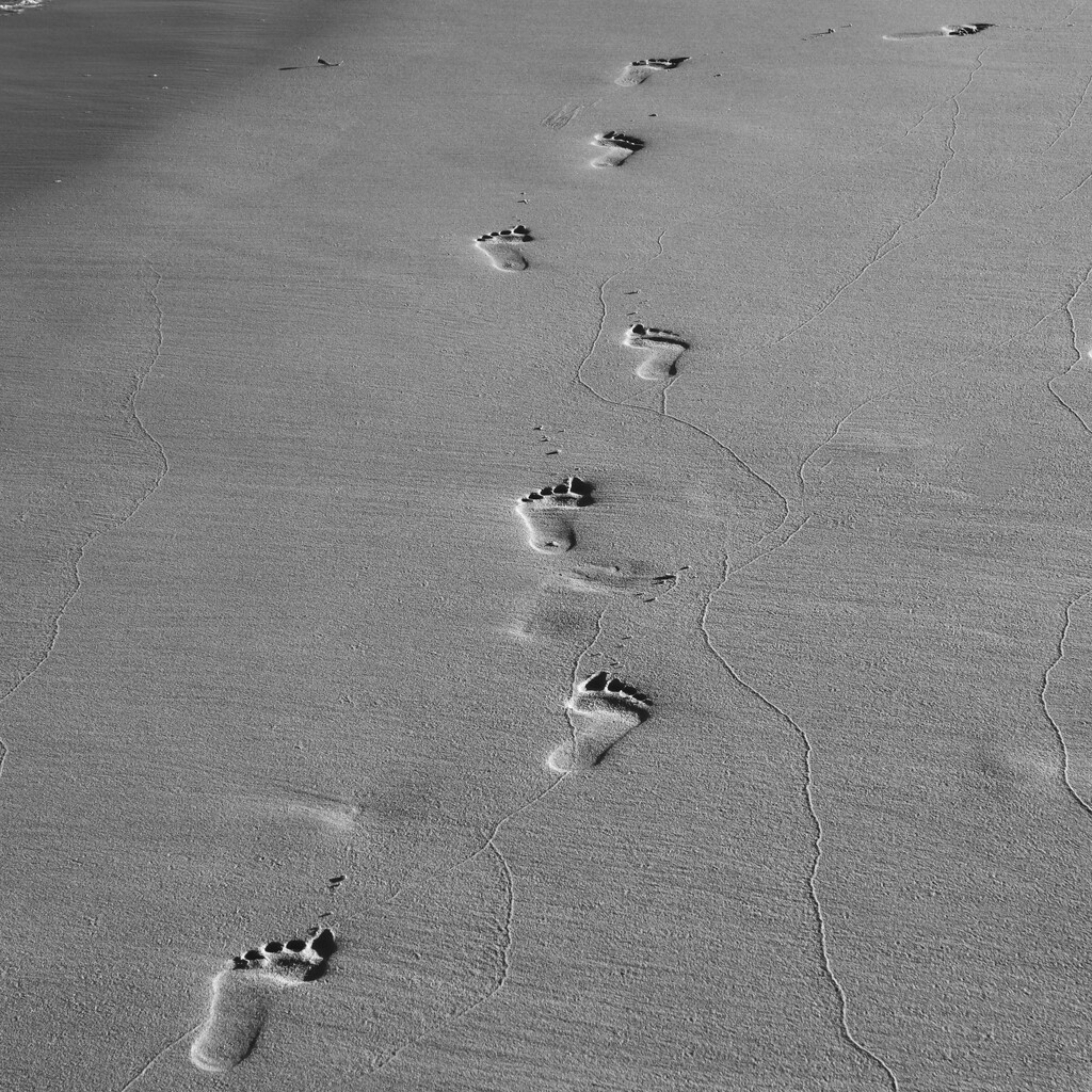Following Footprints In The The Sand P1265435 by merrelyn