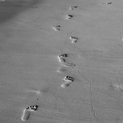 6th Feb 2023 - Following Footprints In The The Sand P1265435
