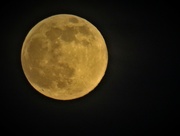 6th Feb 2023 - Last night's big full moon