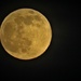 Last night's big full moon by anitaw