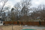 6th Feb 2023 - Backyard day 314