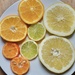 Citrus delights  by beverley365