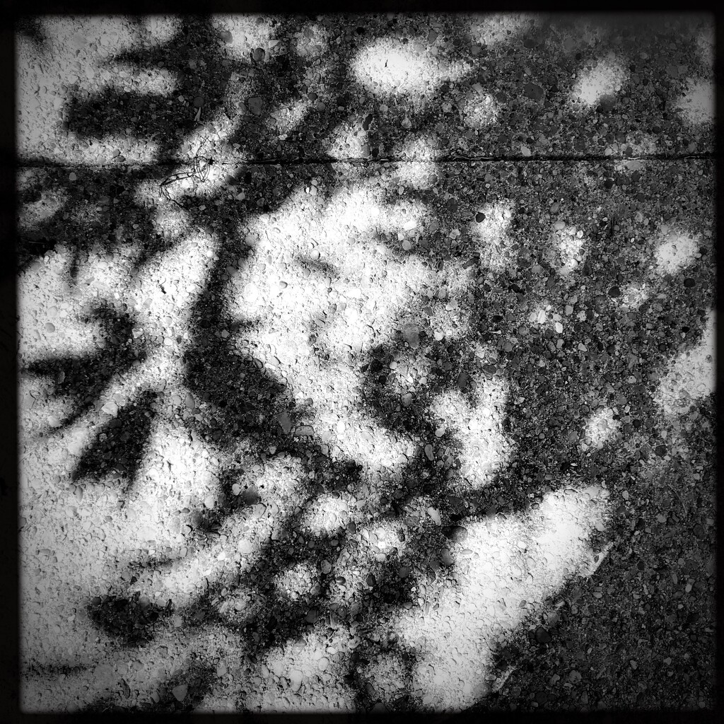 Shadows  | Black & White by yogiw