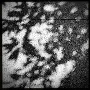 1st Feb 2022 - Shadows  | Black & White