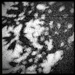 Shadows  | Black & White by yogiw
