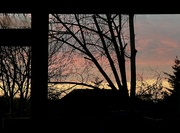 6th Feb 2023 - Morning light 
