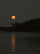 6th Feb 2023 - Snow Moon at Mistletoe State Park