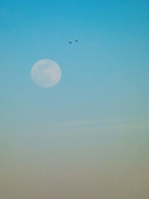 4th Feb 2023 - Snow Moon over Huntington Beach