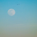 Snow Moon over Huntington Beach by k9photo