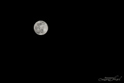 5th Feb 2023 - Full Moon