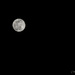 Full Moon by lstasel
