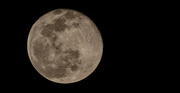 6th Feb 2023 - Alright, One More Moon Shot!