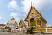 6th Feb 2023 - Wat Nong Yai