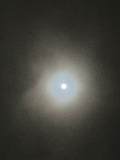 7th Feb 2023 - Full moon 2am