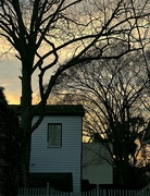 7th Feb 2023 - Sunset, clapboard house and winter trees