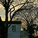 Sunset, clapboard house and winter trees by congaree
