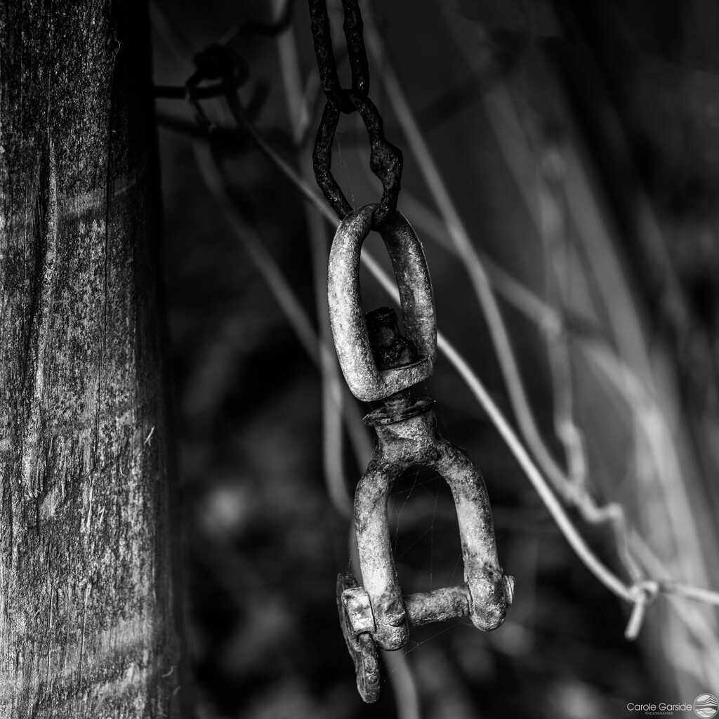 the shackle by yorkshirekiwi