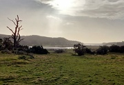 1st Feb 2023 - Looking down to the Solway 