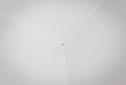 7th Feb 2023 - There's a Spider in my Room