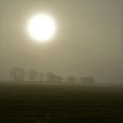 7th Feb 2023 - Our brightest star (the sun!) on a misty morning