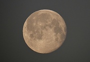 7th Feb 2023 - Almost Full Moon 