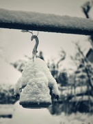8th Feb 2023 - Snowman