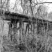 Abandoned Railroad Bridge by lsquared