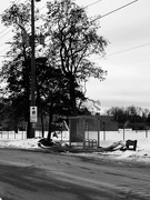 8th Feb 2023 - Bus Stop 