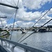 Brisbane bridges  by sugarmuser