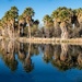 Agua Caliente, Tucson, Arizona by mdaskin