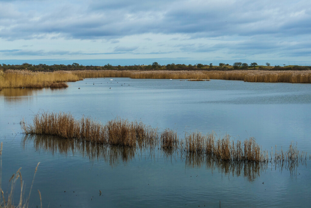 Gibraltar Point nature reserve by cam365pix