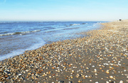 8th Feb 2023 - beach at Castricum aan Zee, Holland