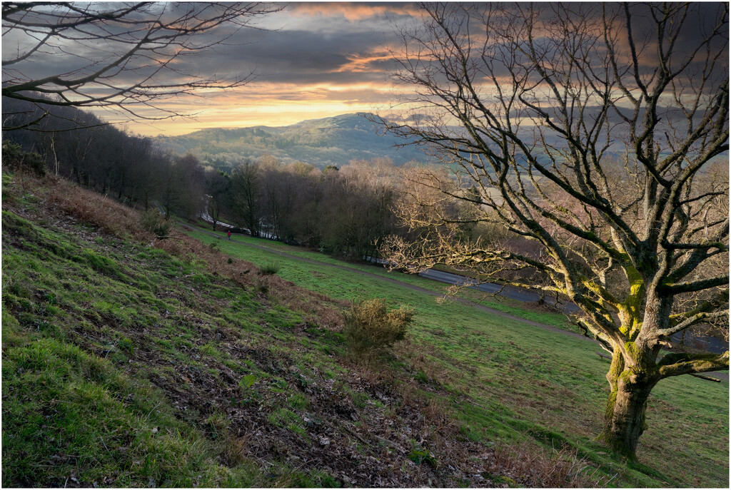 The Malverns by clifford
