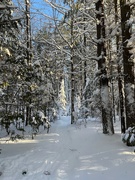 17th Jan 2023 - Winter Walks, The Best!
