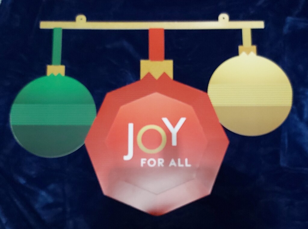 Joy for all by pammyjoy
