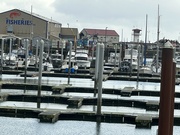 8th Feb 2023 - Harbor, OR Harbor