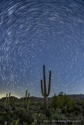 9th Feb 2023 - Saguaro is Stargazing