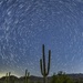 Saguaro is Stargazing