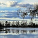 Lake, sky and Spanish moss by congaree