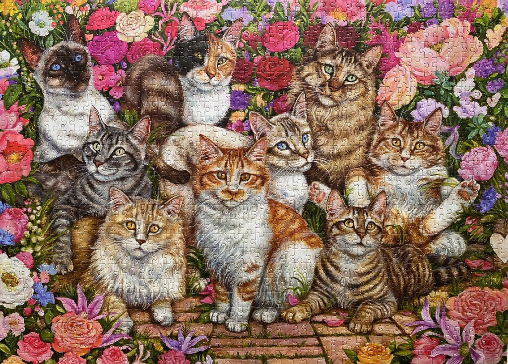 Cats and Flowers. by antlamb