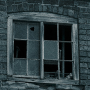 9th Feb 2023 - Broken Windows 1