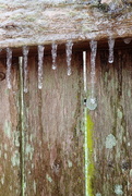 1st Feb 2023 - Ice on Rotting Fence