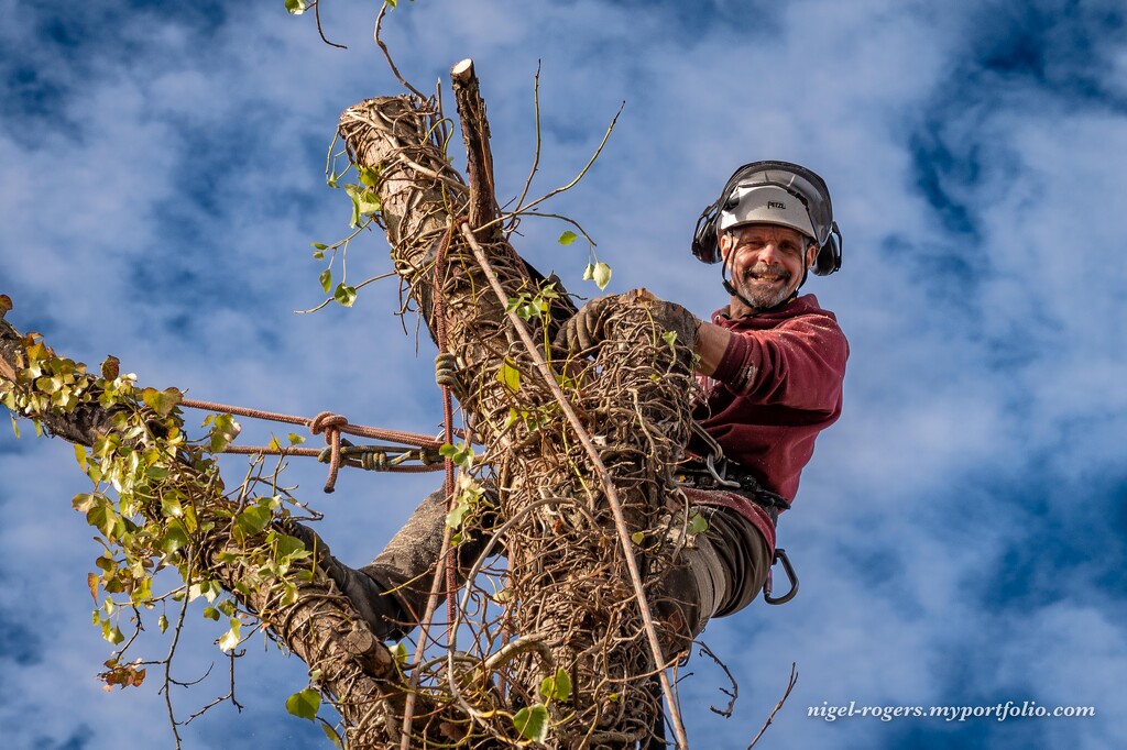 Tree surgeon happy in his job by nigelrogers